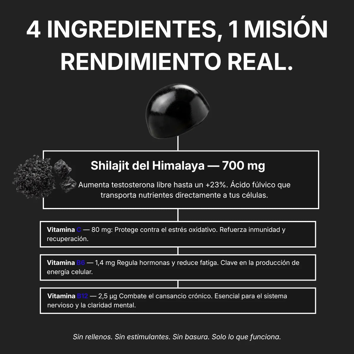 Shilajit Gummies + Vitamin C,B6, B12 - 60 Stk.