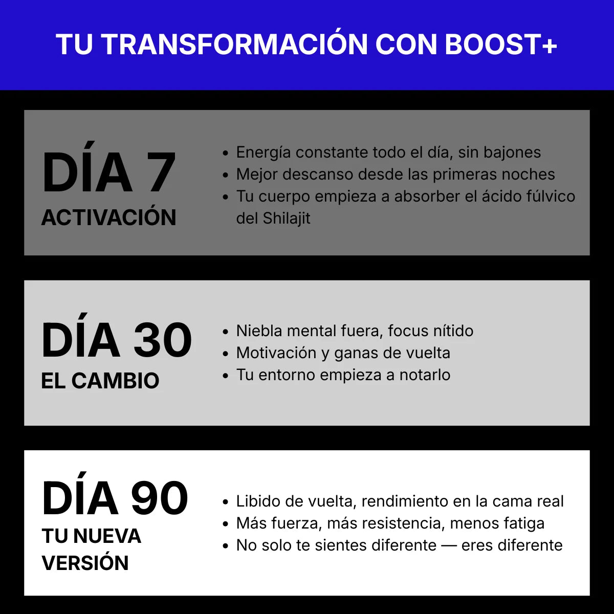 Shilajit Gummies + Vitamin C,B6, B12 - 60 Stk.