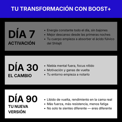 Shilajit Gummies + Vitamin C,B6, B12 - 60 Stk.